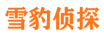 朝阳市侦探调查公司